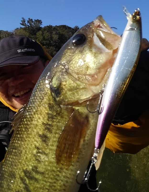 魚とルアーのアップ写真