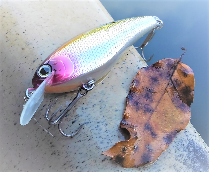 ルアーのアップ写真