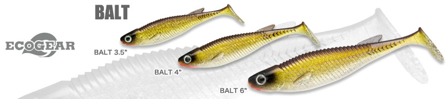 ワームのアップ写真