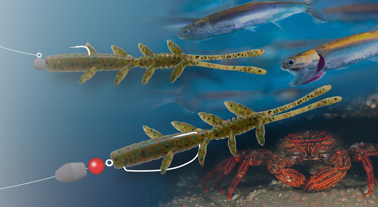 ワームのアップ写真