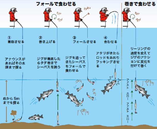 吉岡進の新世代沖釣り方程式（第8回）］東京湾のシーバスジギング（つり幸／神奈川県川崎）