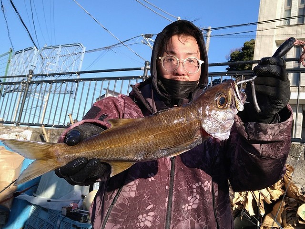 【釣果速報】神奈川県愛正丸で迫力ワラサゲット！デカアジ入れ食いも発生！人気青物を一気にゲットしたいなら今すぐ乗船を！