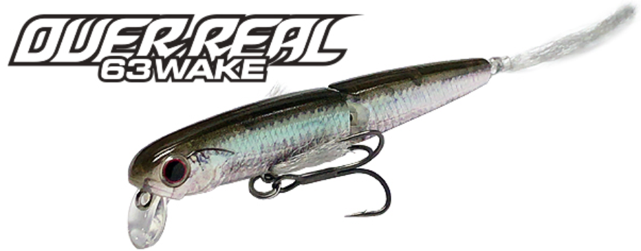 ルアーのアップ写真