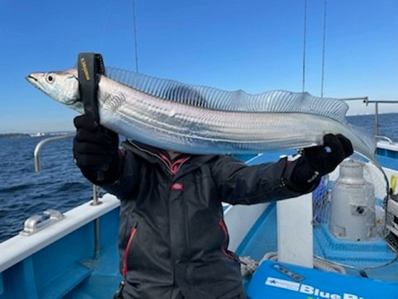 【釣果速報】東京都深川 吉野屋でタチウオ入れ食い!126cmのドラゴンも確保!迫力のファイトを楽しめる釣法を船長が伝授!