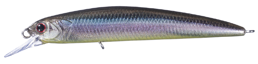 ルアーのアップ写真