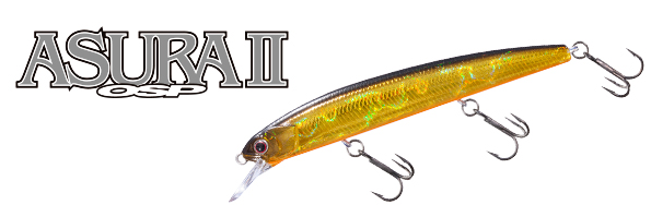 ルアーのアップ写真