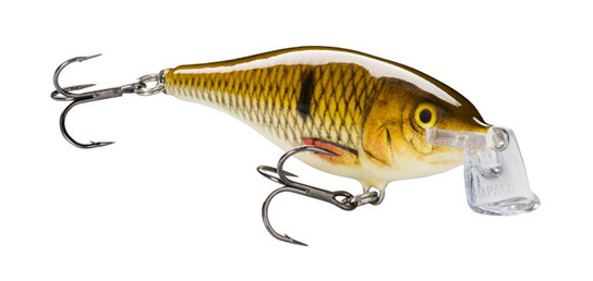 ルアーのアップ写真