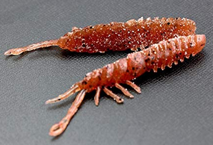 ワームのアップ写真