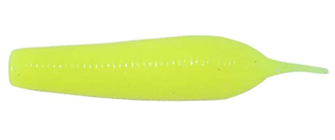 ワームのアップ写真