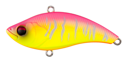 ルアーのアップ写真