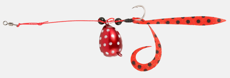 仕掛けのアップ写真