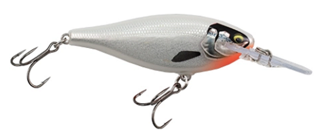 ルアーのアップ写真