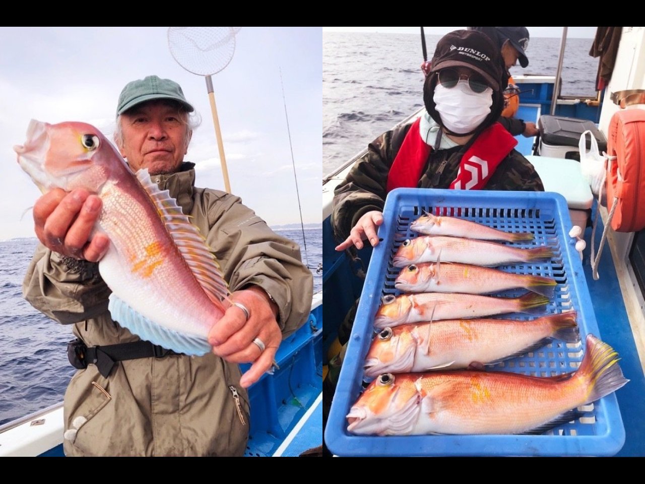 【釣果速報】40cmオーバーのデカアマダイが続々ヒット!ゲストも多彩で船内大賑わい!神奈川県船宿 秋田屋ならクーラー満杯必至!