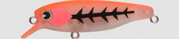 ルアーのアップ写真