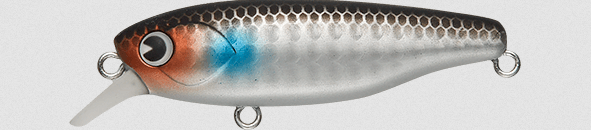 ルアーのアップ写真