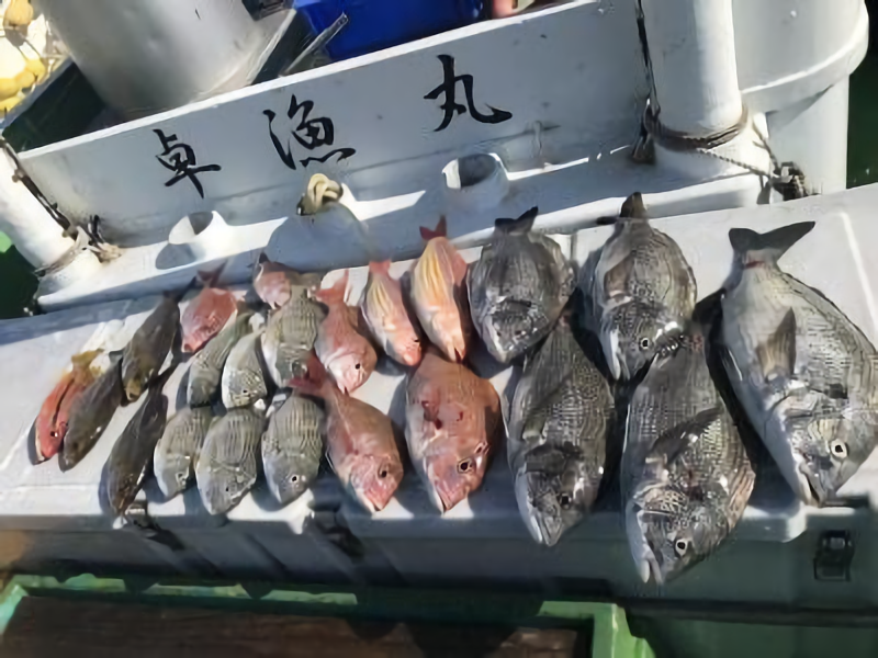 釣果