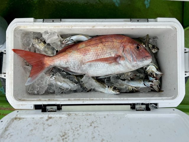 釣果