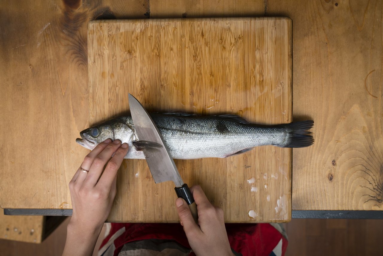 シーバスの写真