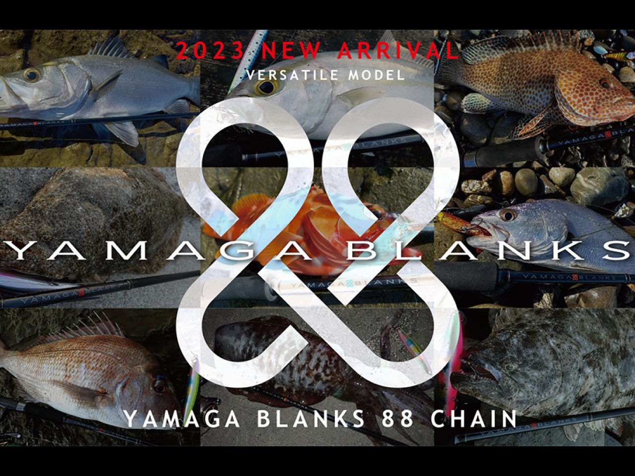 【新製品速報】ヤマガブランクスからヤマガブランクス 88 チェインが発売決定！