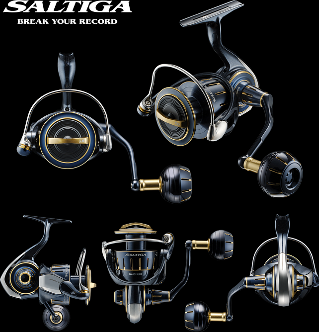 DAIWA」EXISTイグジスト、SALTIGAソルティガ卓上カレンダー - ウェア