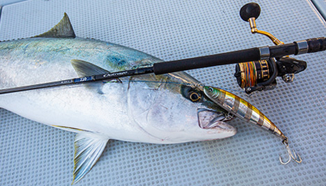 リールのアップ写真