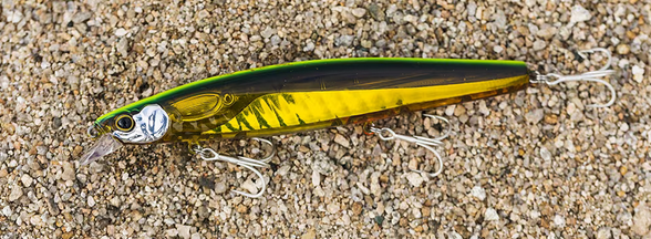 ルアーのアップ写真