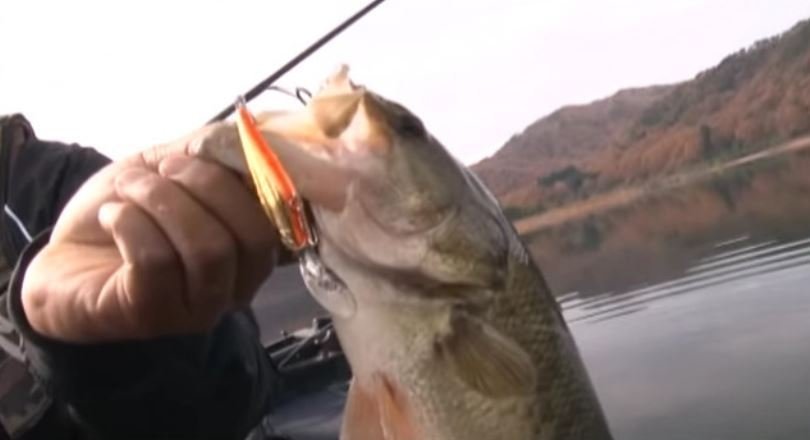 エバーグリーン　ルアー　スーパースレッジ　バス釣り　バスフィッシング