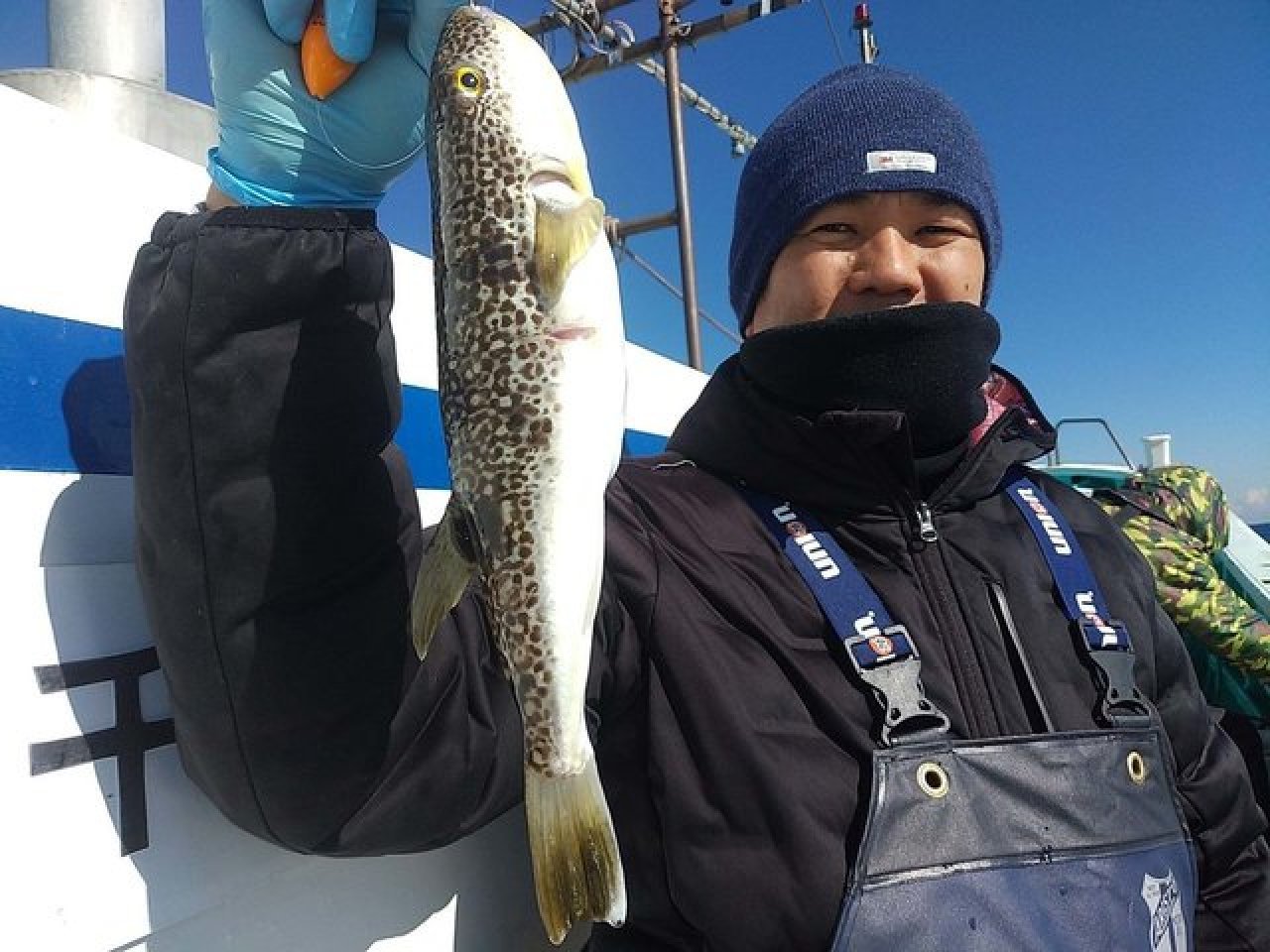 【釣果速報】ショウサイフグが好調に釣れ続いてトップはなんと50匹達成！あなたも千葉県利永丸で数釣りを楽しもう！