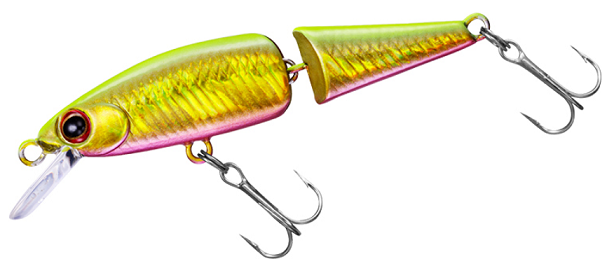 ルアーのアップ写真