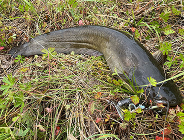 ルアーのアップ写真