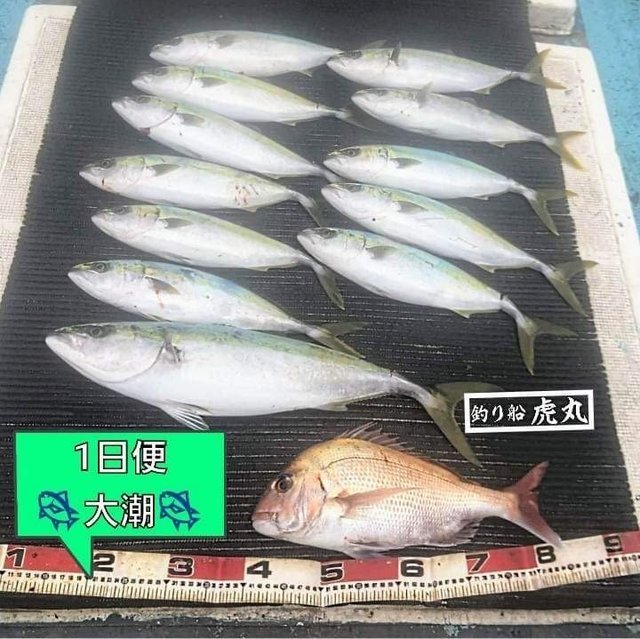 釣果