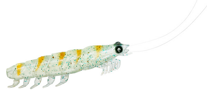 ワームのアップ写真