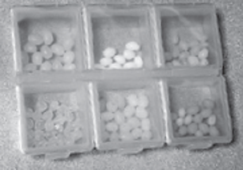 アクセサリーの写真