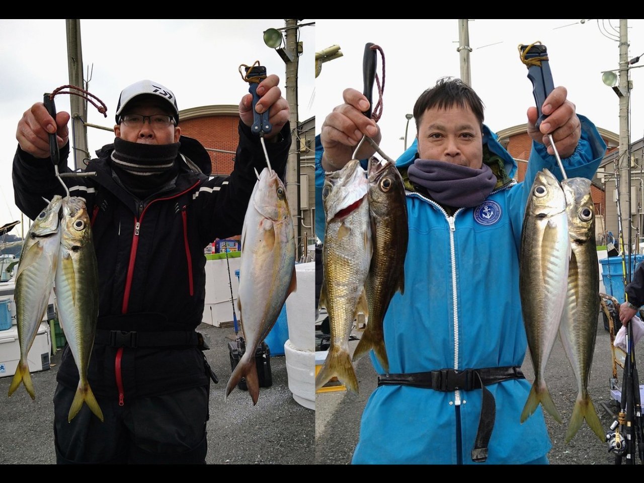 【釣果速報】神奈川県愛正丸でアジ入れ食い！サバ・カンパチも！好調な今シーズン、自己最高記録を狙ってみませんか？