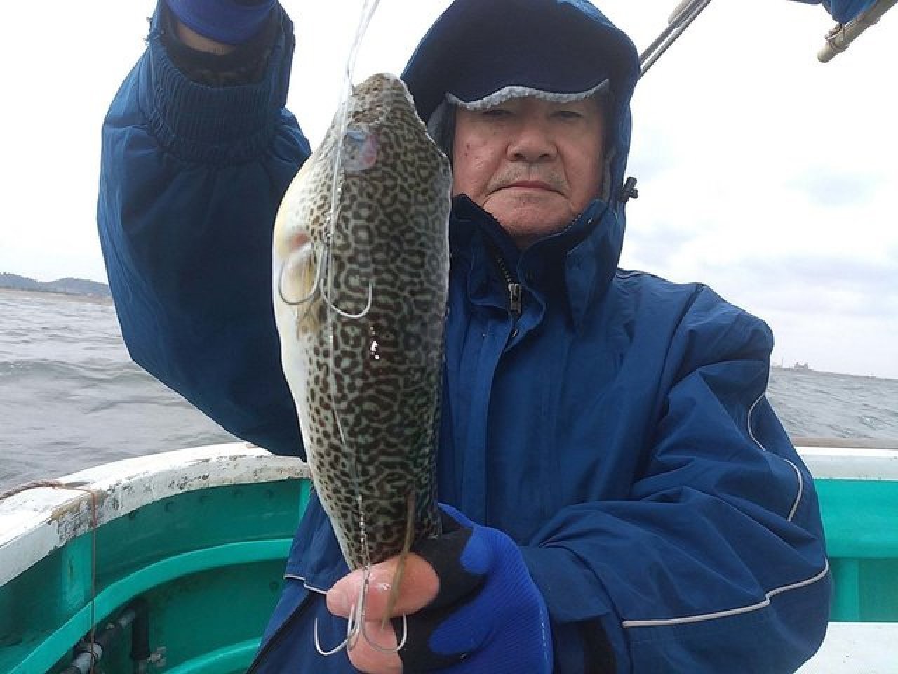 【釣果速報】千葉県利永丸で34cmのビッグサイズを筆頭にショウサイフグが釣れまくり！味も極上な今が乗船どき！