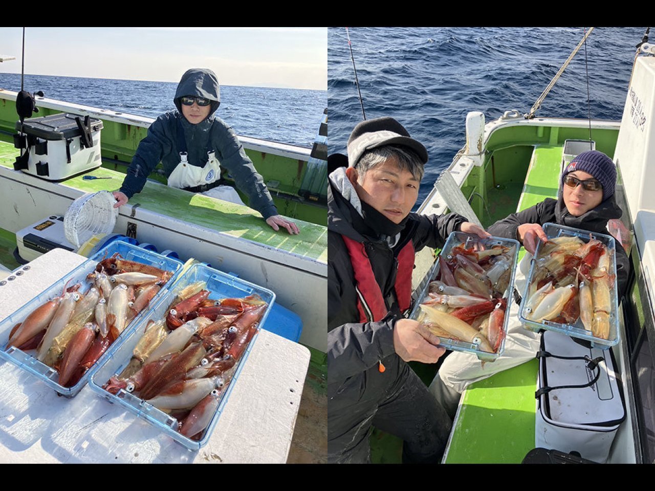 【釣果速報】神奈川県たいぞう丸でマルイカ大漁！今後の釣行も期待大！