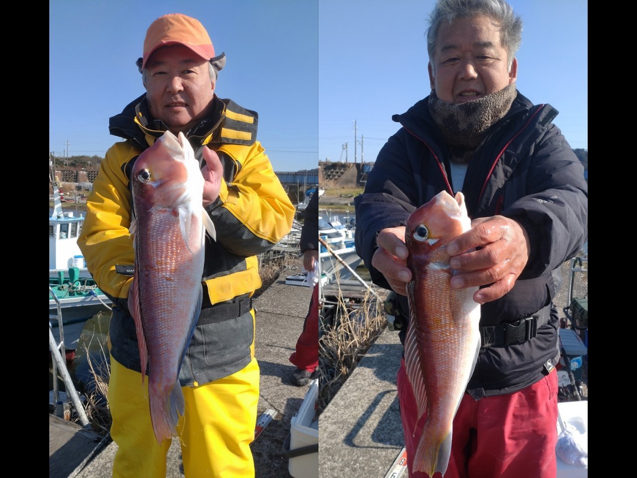 【釣果速報】千葉県フィッシュオン大勝で高級魚アマダイGET！ムシガレイ・カナガシラ・イトヨリなどゲストも超豊富に！