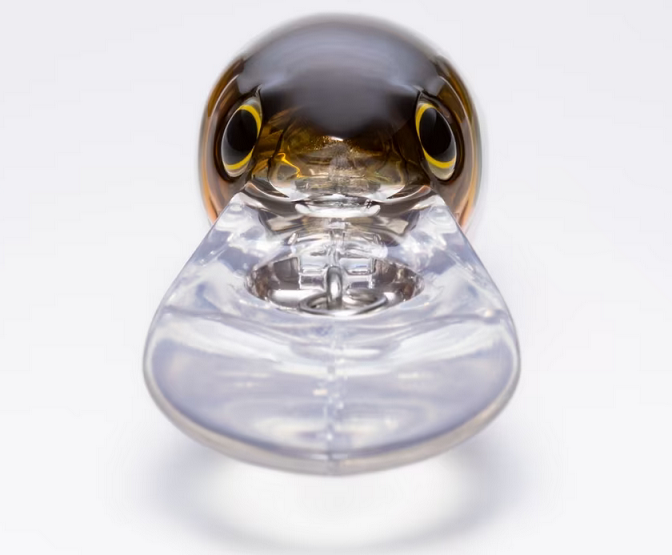 ルアーのアップ写真