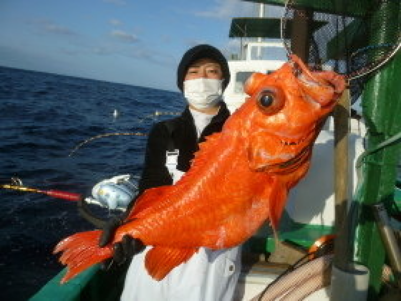 【釣果速報】千葉県美智丸でベニアコウ日和！9kgのビッグサイズGET！赤い魚と青い海のコントラストがたまらない！