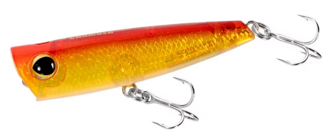 ルアーのアップ写真