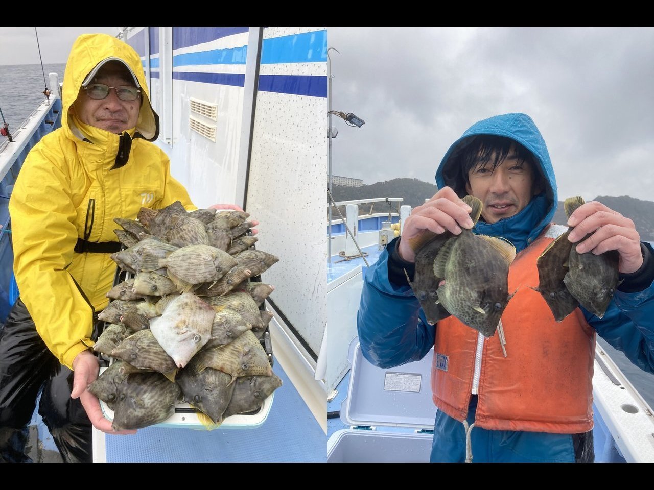 【釣果速報】千葉県早川丸でカワハギ連続ヒット！好調な今が釣行の狙い目！