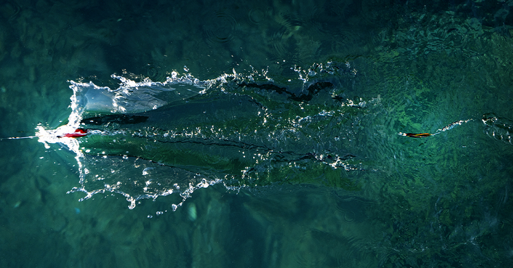 仕掛けのアップ写真