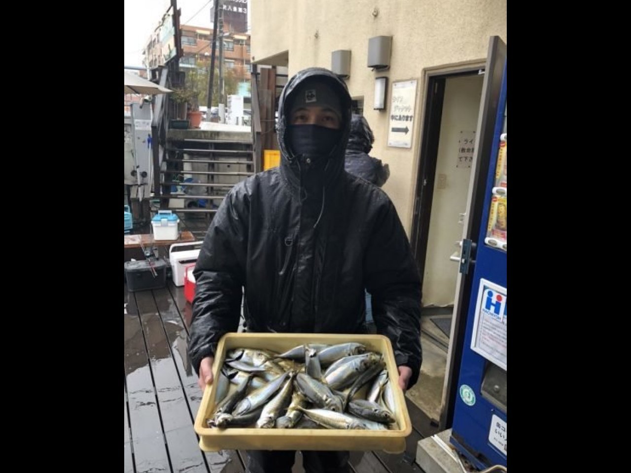 【釣果速報】良型アジがクーラーにぎっしり！神奈川県荒川屋で質も量も大満足の釣行を楽しもう！
