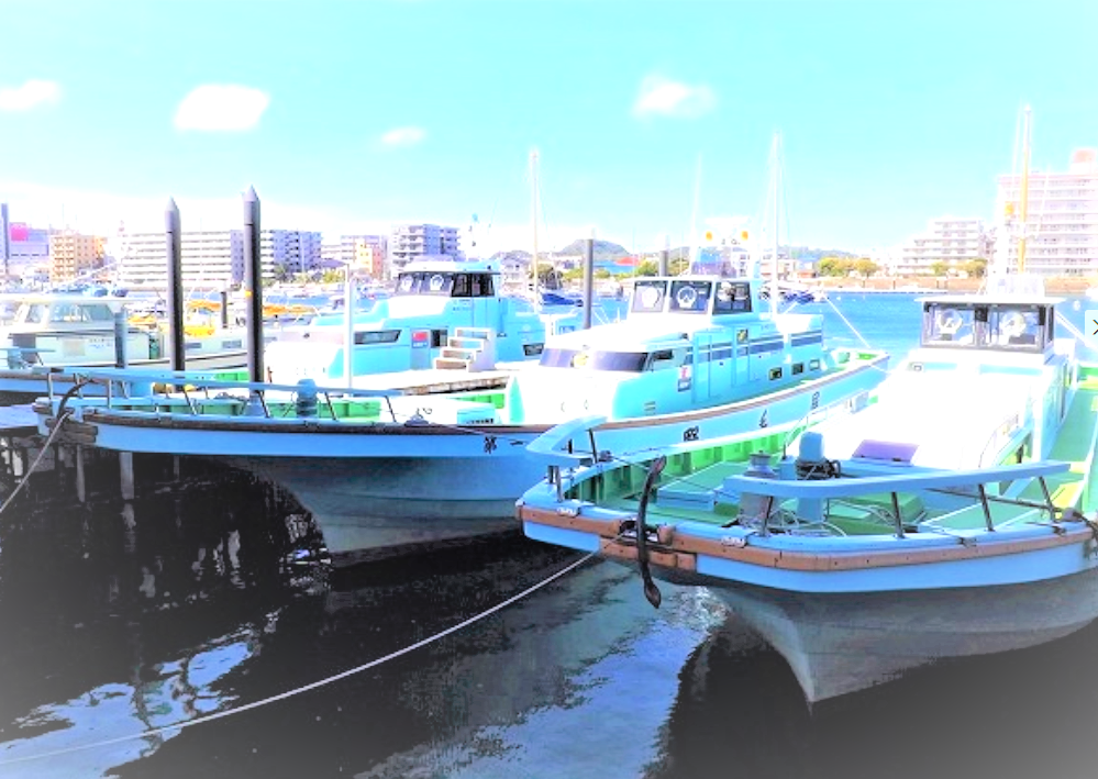 野毛屋釣船店で楽しめる東京湾のマダイ・フグ・アジ・アオリイカ釣り！釣果+サービス内容を総まとめ