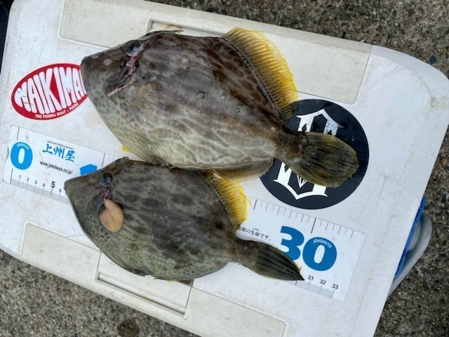 釣果