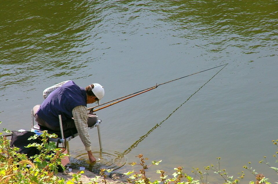 初心者必見 ヘラブナの釣り場はいろいろあるけど初心者に釣り堀をオススメする3つの理由とは