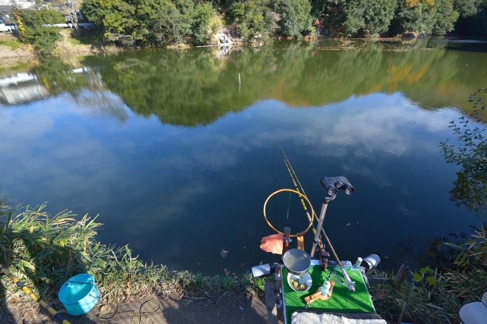 ルール　オモリ　ゲンゴロウブナ