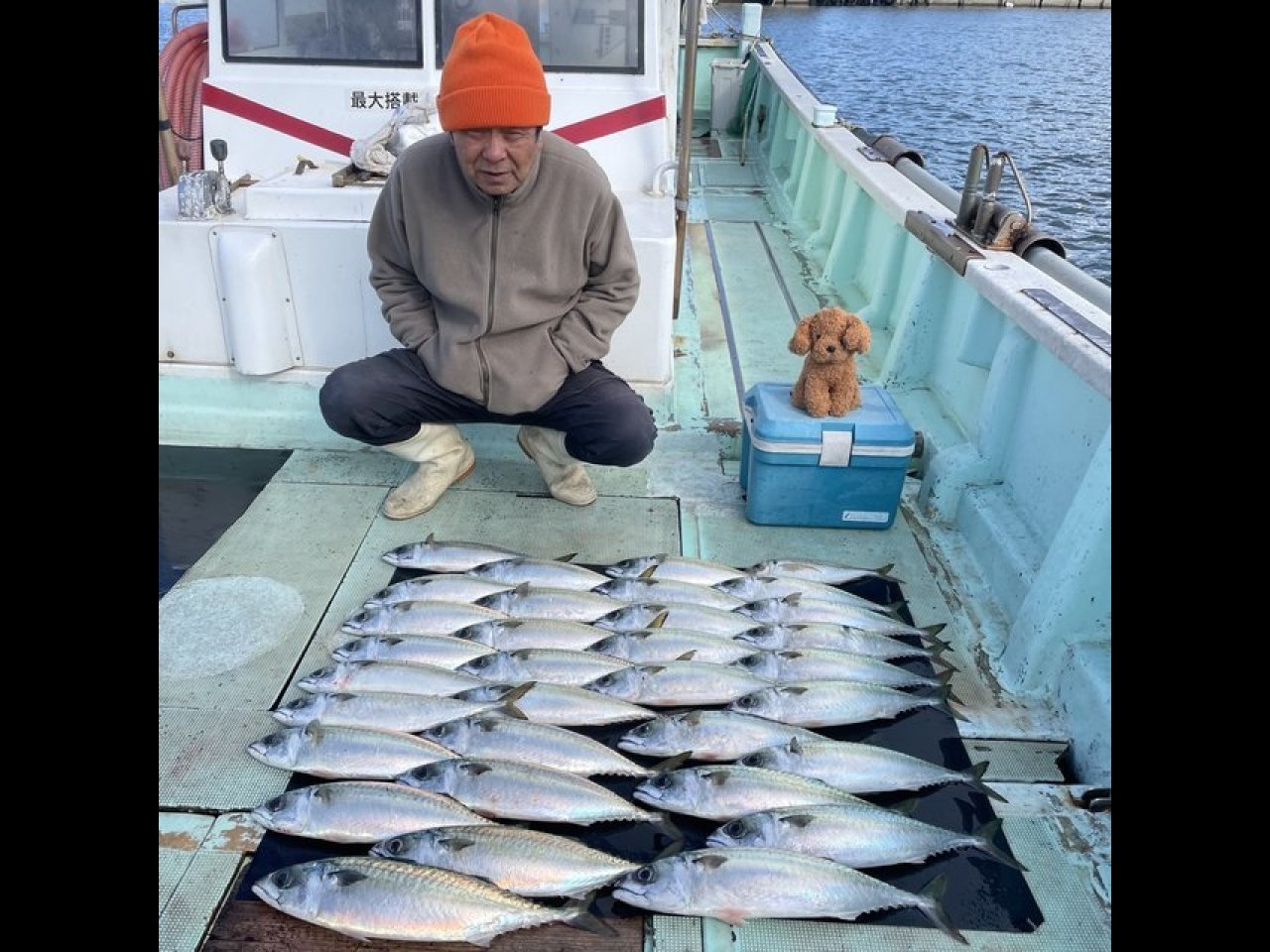 【釣果速報】和歌山県淡隆丸でマサバ好調！54cmの大サバも！冬の味覚を自分の手で釣り上げよう！