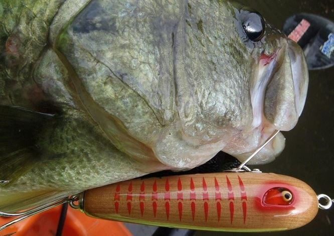 ゼロゴッサ　ゼログラビティ　バス釣り　バスフィッシング