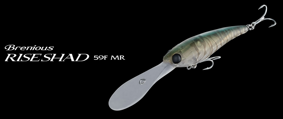 ルアーのアップ写真